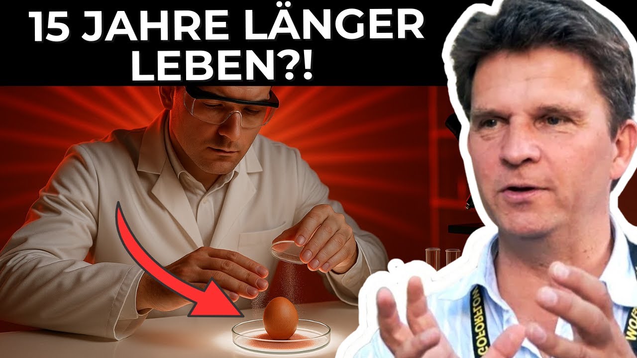 IMMUNSYSTEM AUF TURBO &ndash; Das rohe EIGELB birgt das Nukleotid-Geheimnis!