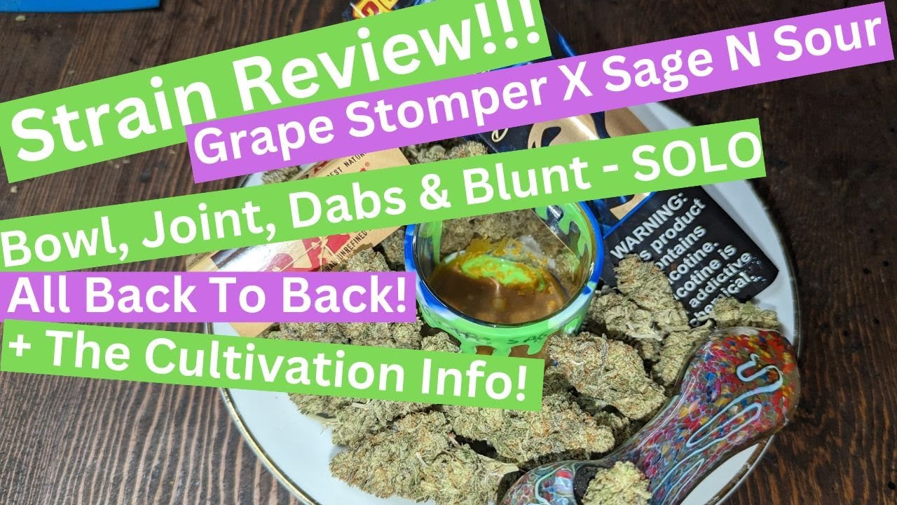 Strain Review Grape Sage N Sour Growing Info Overall Cultivar Review, Music By: Dj Provisions