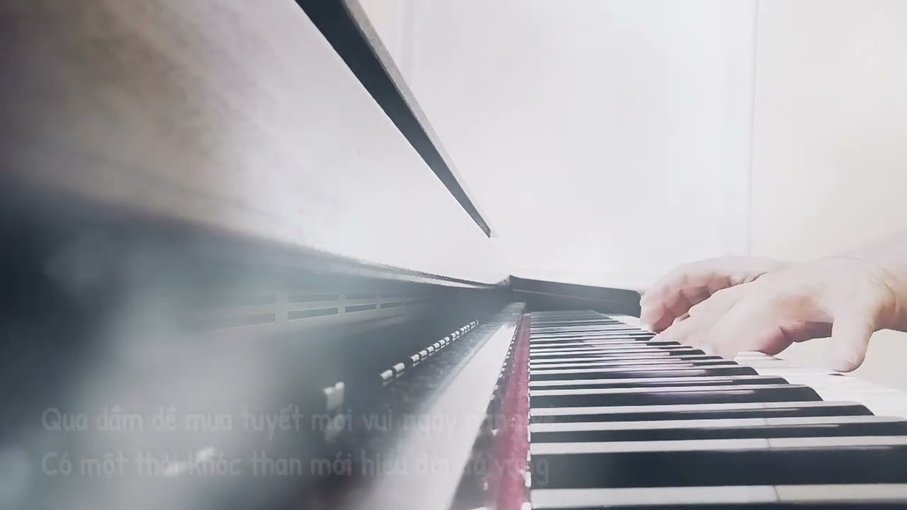 Đời đá vàng. LeeP cover