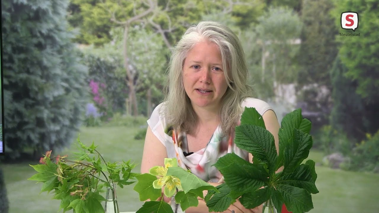 Leiden: Jaar van de Tuin afl. 13 (9 jun. 2021)