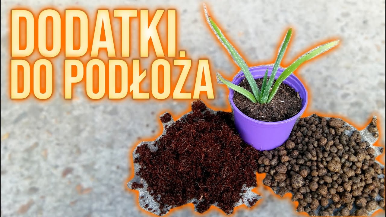 Jakie dodatki do podłoża? - włókno kokosowe, keramzyt | NAUKA W SŁOIKACH
