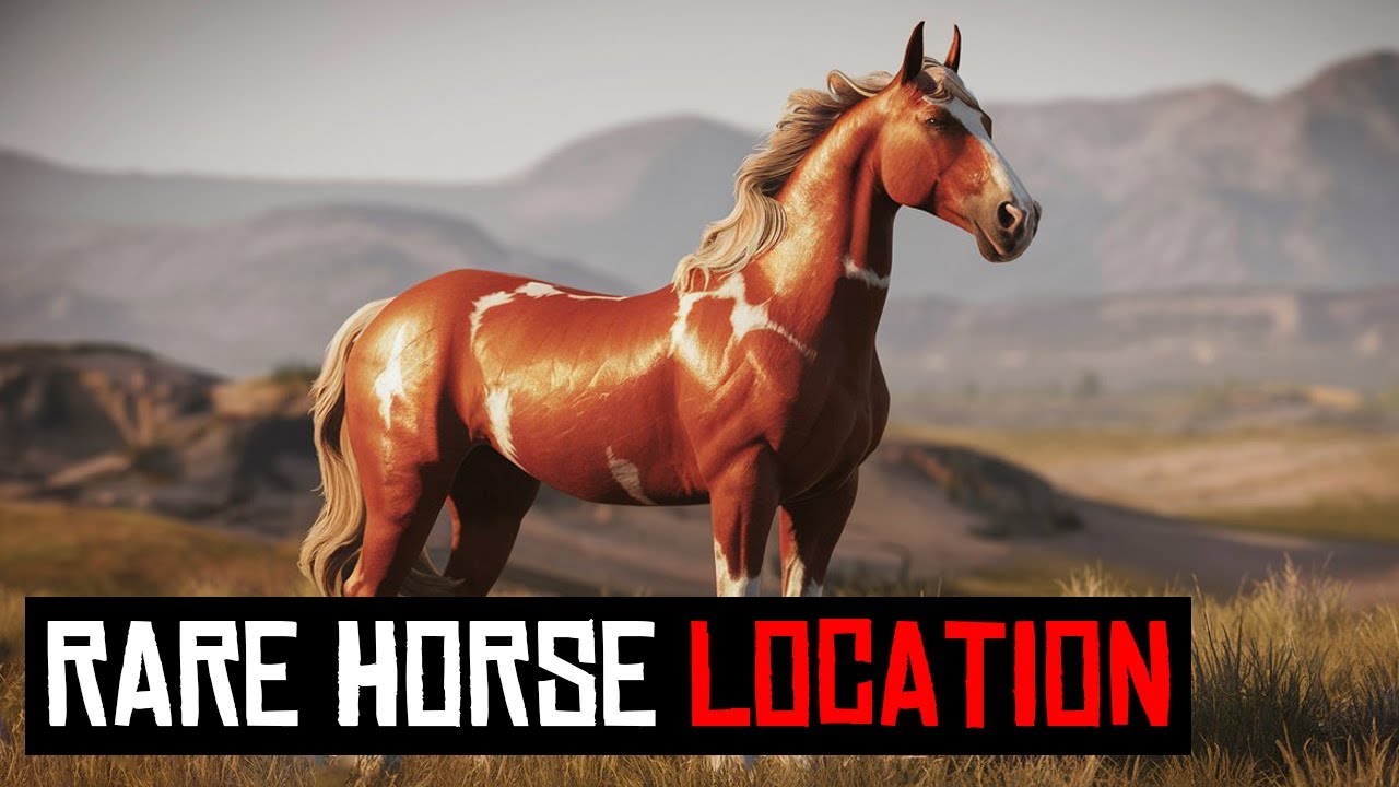 9 ЛУЧШИХ МЕСТ ДЛЯ ЛОШАДЕЙ В RDR2