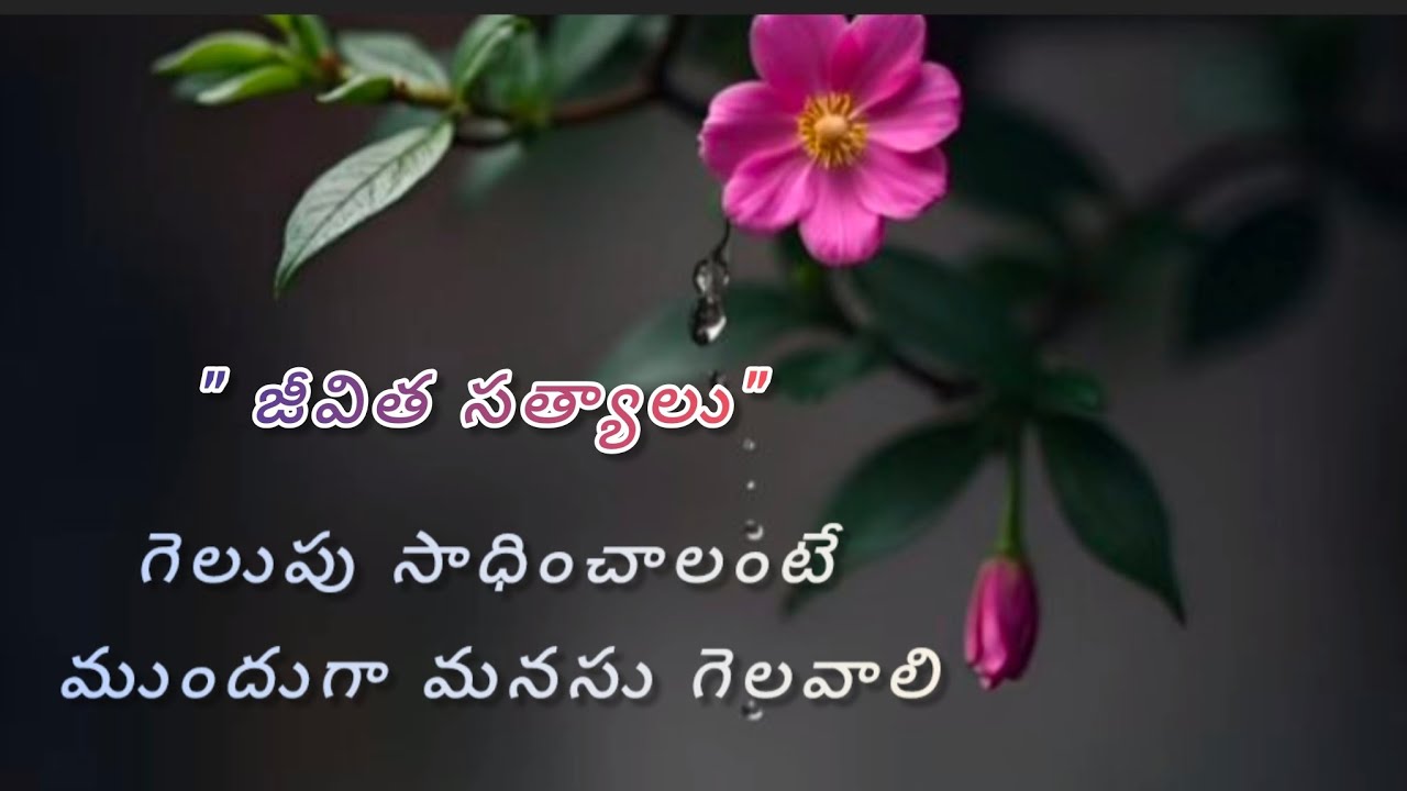 @ జీవిత సత్యాలు@ "గెలుపు సాధించాలంటే ముందుగా మనసు గెలవాలి"