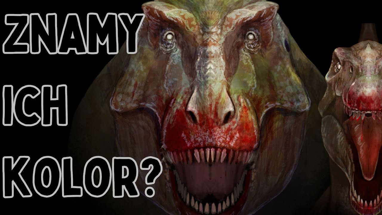 20 Minut Ciekawostek o Dinozaurach, o których z pewnością nie wiedzieliście!