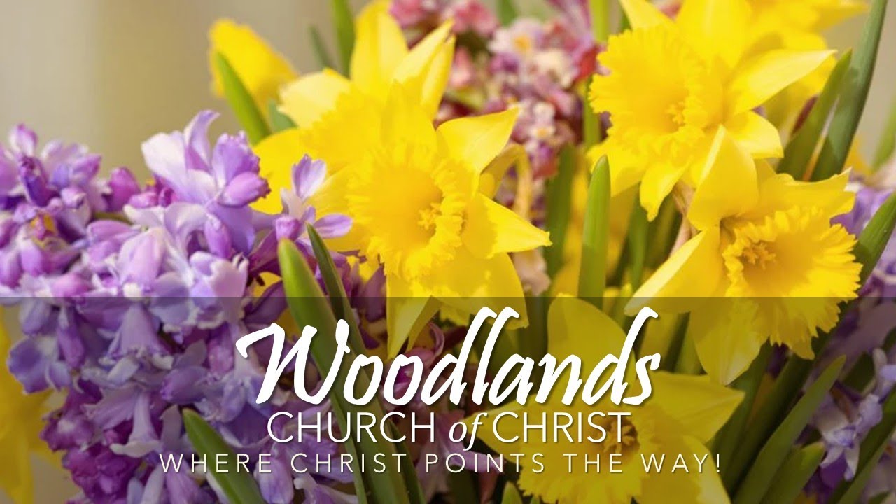 Sunday Worship Service (10:00 a.m.) - March 8, 2026