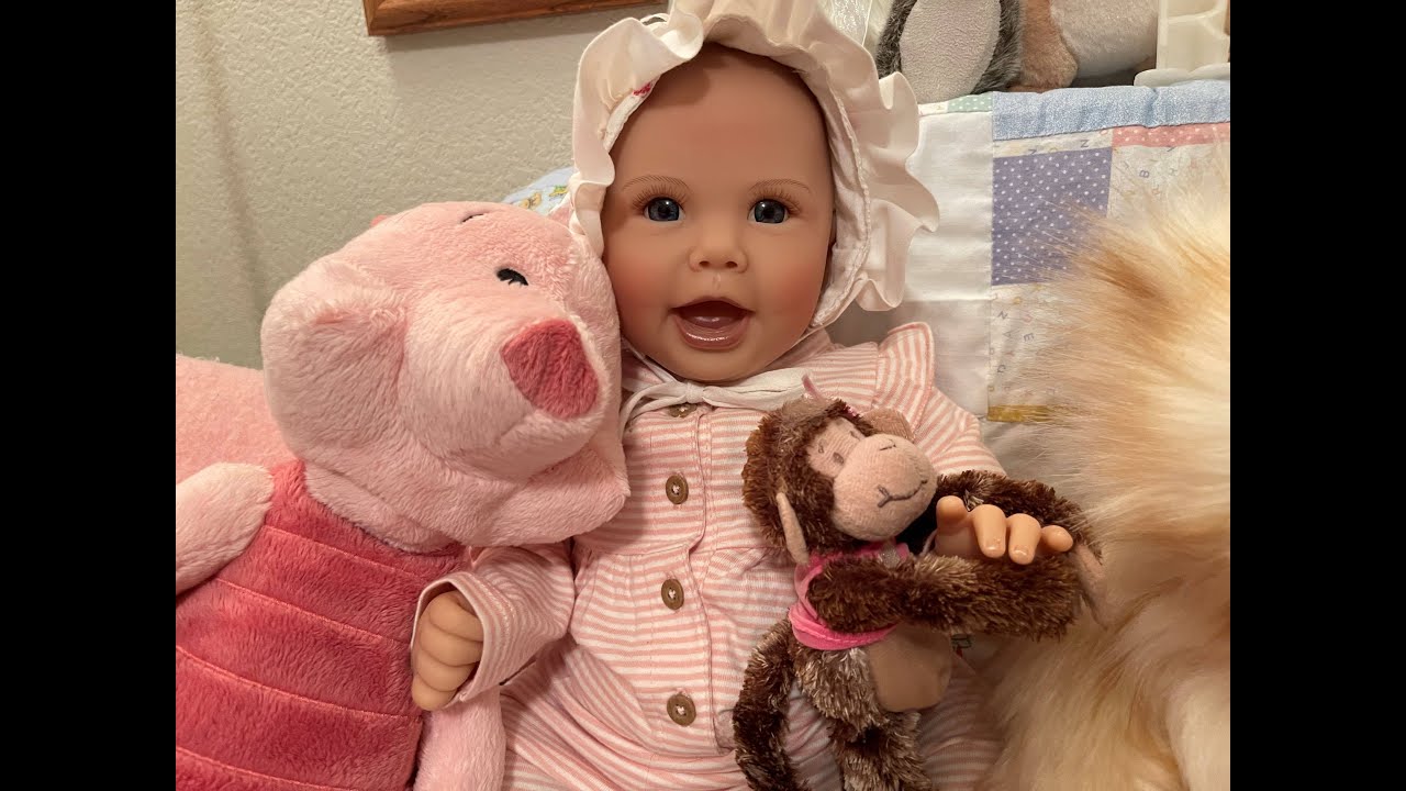 What's In The Reborn's Toy Box? Plus Drawing Winner! (For Adult Doll Collectors)
