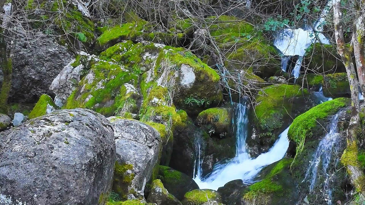 Gentle Mountain Stream & Mossy Stones | 10 Hours of Relaxing Nature for Meditation