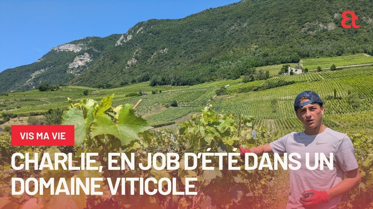 JOB D'ÉTÉ : 