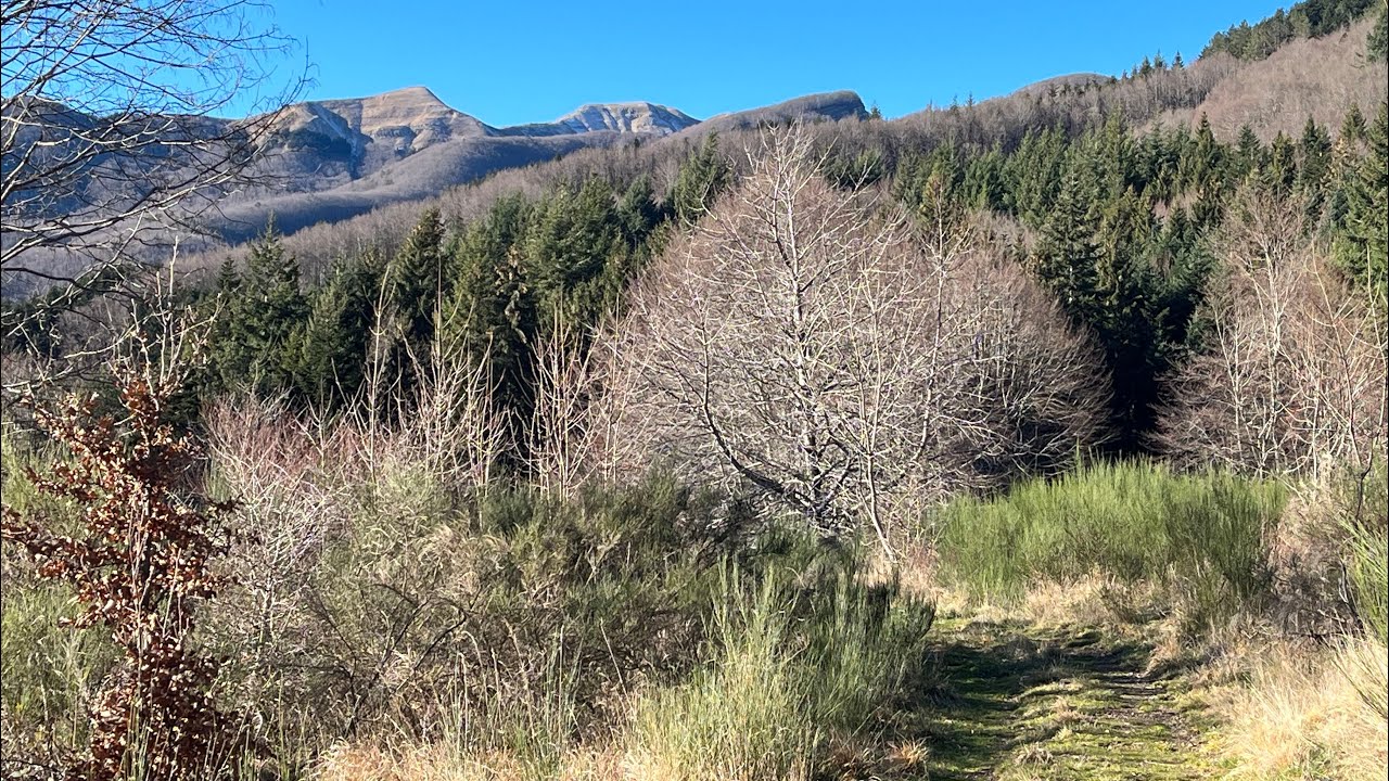 Dalla valle dell’Orsigna al Rif. Portafranca