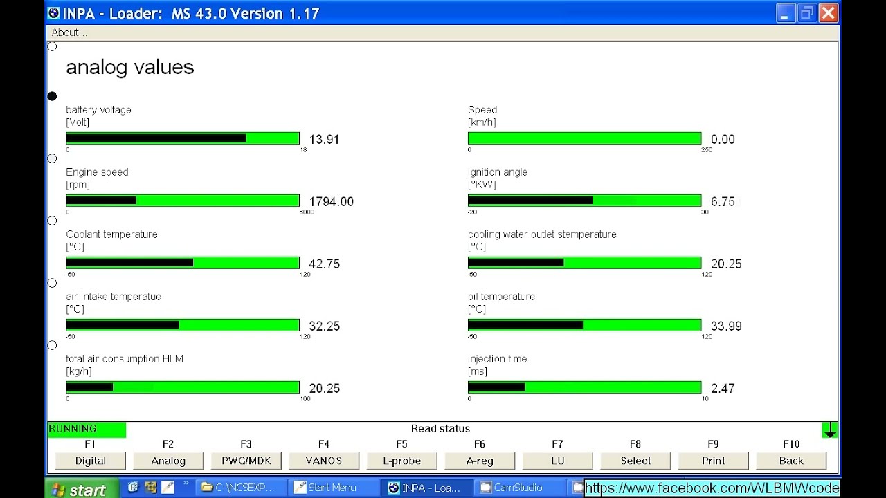 BMW E46 325CI auto inpa M54 INPA LIVE ANALOG VALUES ADAPTION VANOS
