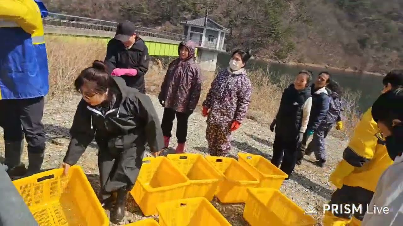 정기법회 방생기도 26년3월8일#불교#자비실천 #생명존중 #깨달음 #십선업 #복자등명