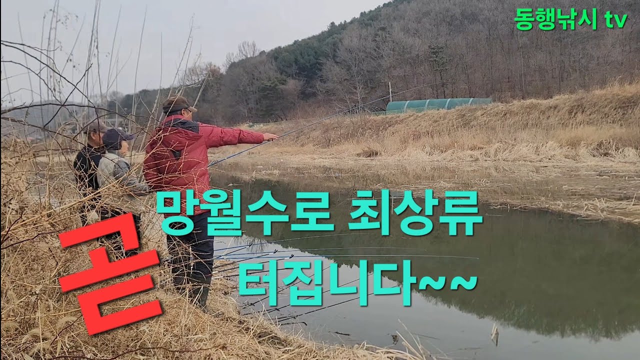 망월수로 상류 붕어들 산란이 곧 시작될 분위기 입니다.#붕어낚시 #노지낚시 #탐색낚시 #붕어낚시 #수초낚시 