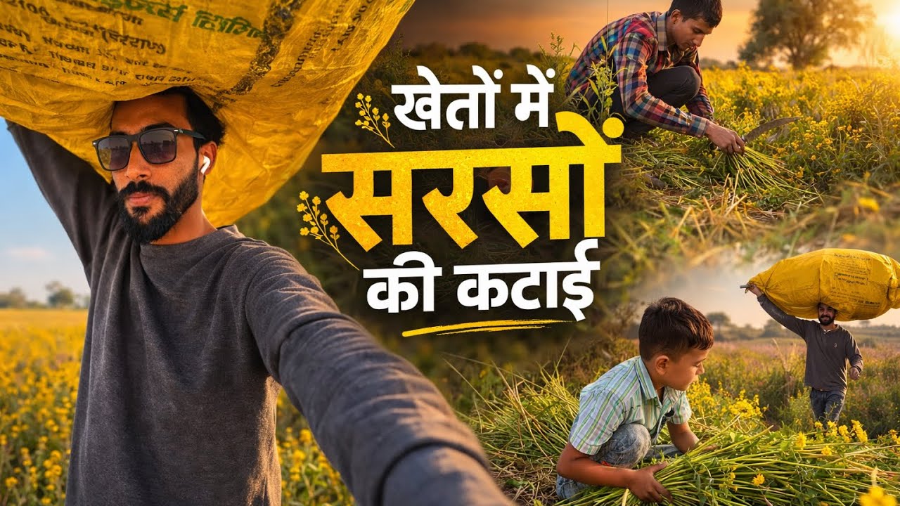 गाँव में सरसों की कटाई 🌾 | पूरे दिन खेतों में काम | Village Life Vlog