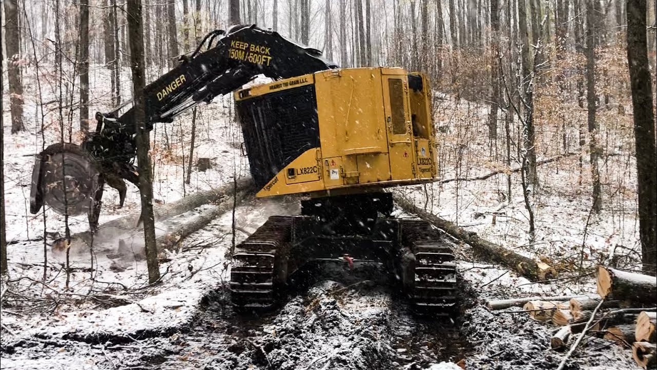 The TIGERCAT in snow!!!