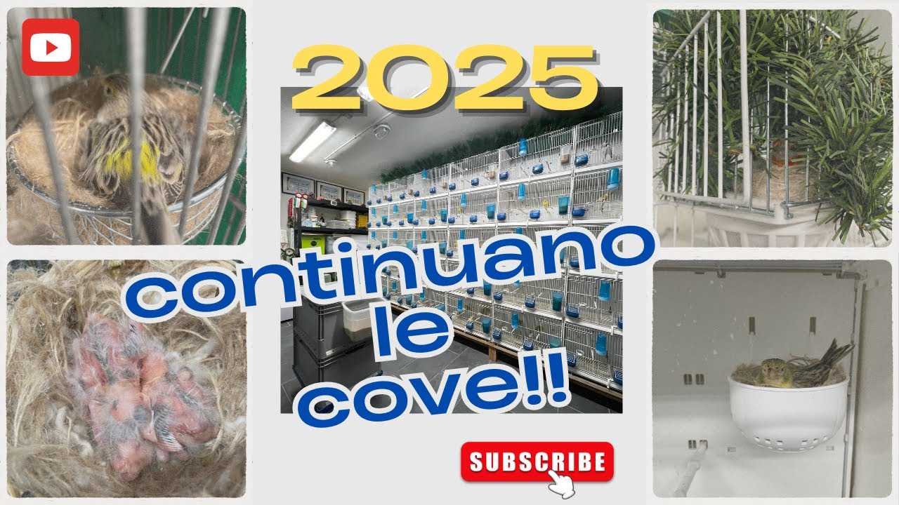 Prosegue la stagione riproduttiva 2025!