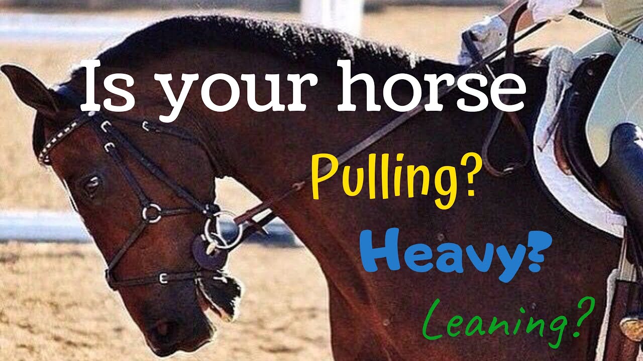 Is your horse leaning on the bit?
