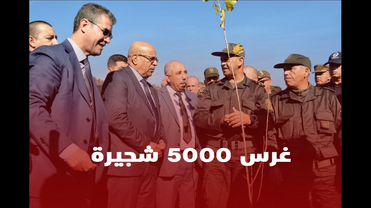 عملية غرس 5000 شجيرة بمنطقة تاخوخت بلدية واسيف بولاية تيزي وزو