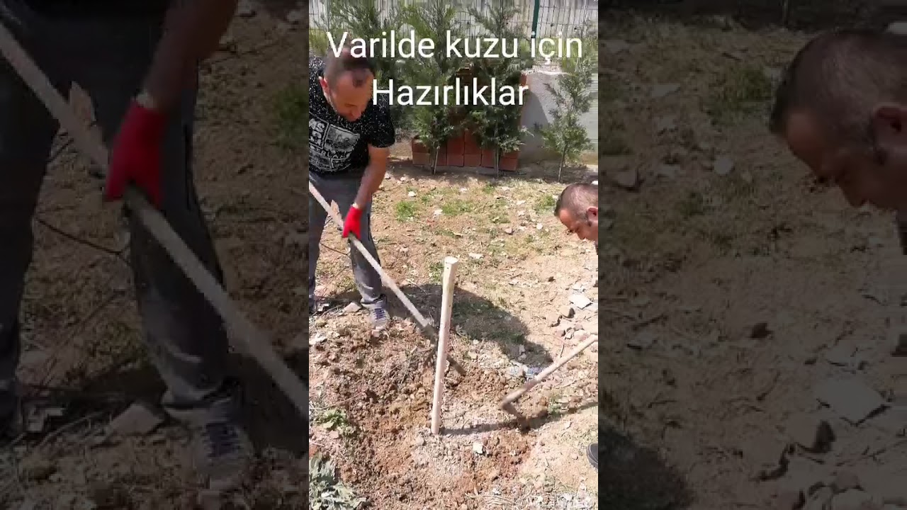 Varilde kuzu nasıl yapılır