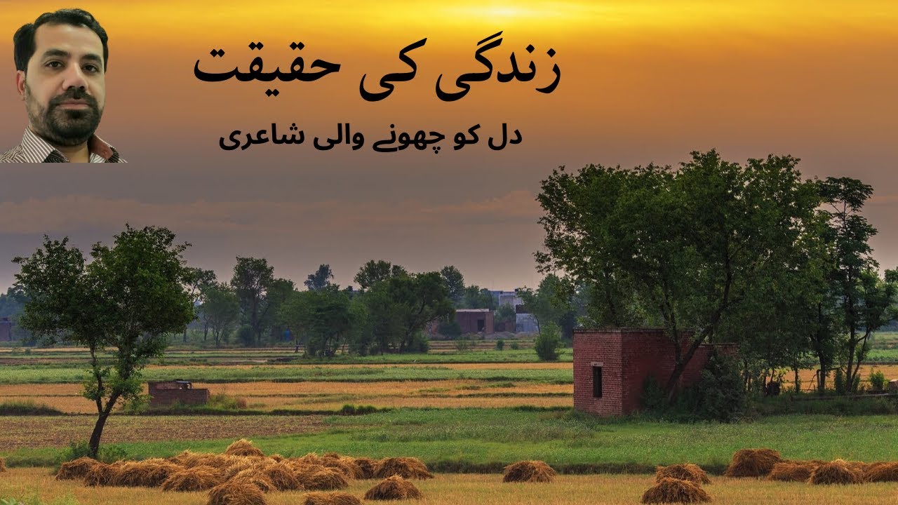 Zindagi ki Haqiqat | Reality of Life (Beautiful Punjabi Poetry) | Life Lesson | Tauseef Younus