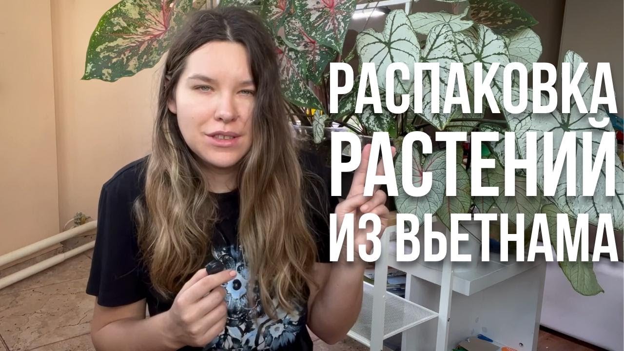 РАСПАКОВКА новых растений/ПОЛУЧИЛА много Антуриумов