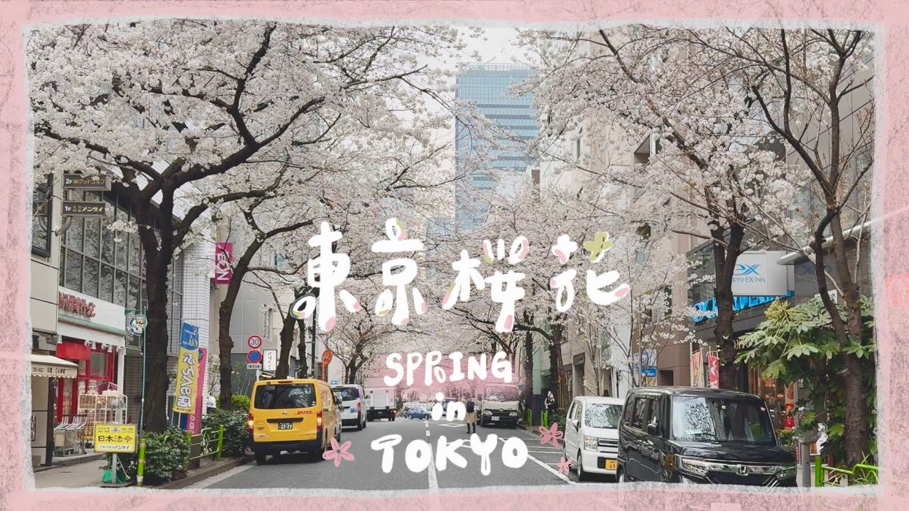 🇯🇵東京賞櫻 | 神田川櫻花滿開🌸、日本橋桜通り、高島屋旁的櫻花隧道、三越前櫻花、賞櫻觀光巴士🚌 | 東京旅遊 |東京生活 | 2024櫻花季 |