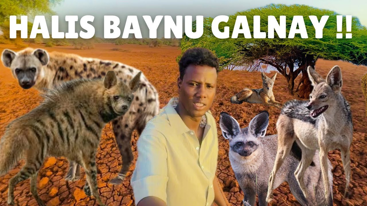 Goobta Ugu Bahalaha Badan Hawdka Ayeynu Booqaney! 