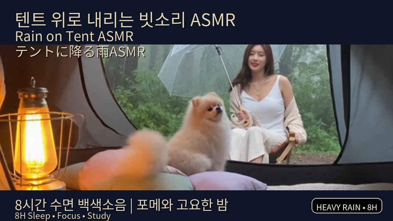 8시간 폭우 빗소리 ASMR 텐트·투명우산 캠핑 | 꿀잠·집중·공부. 밤새 꿀잠 보장 🌙Rain for Deep Sleep (8 Hours) #빗소리 #rain #雨の音