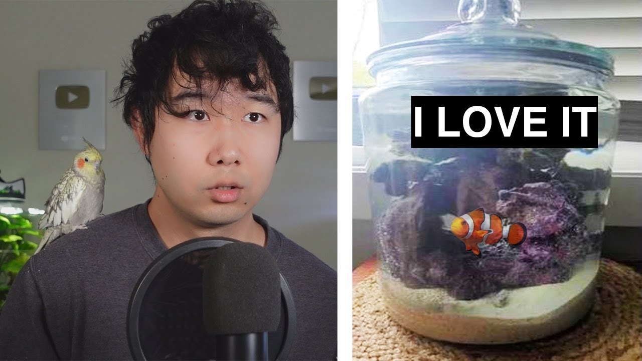 WHAT DID THEY DO... | Fish Tank Review 153