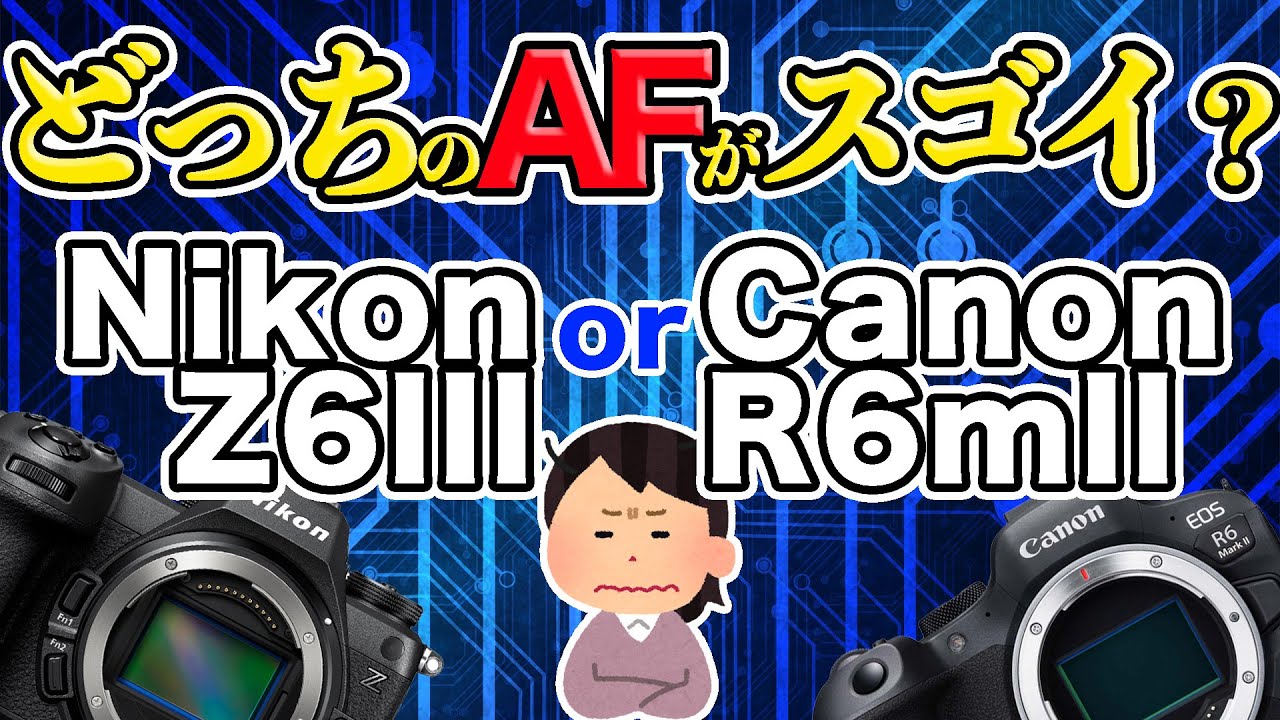 【比較】Z6IIIとR6mIIのAFを比較してみた！