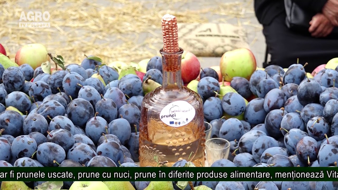 Livezile de prun, investiție avantajoasă pentru fermierii moldoveni