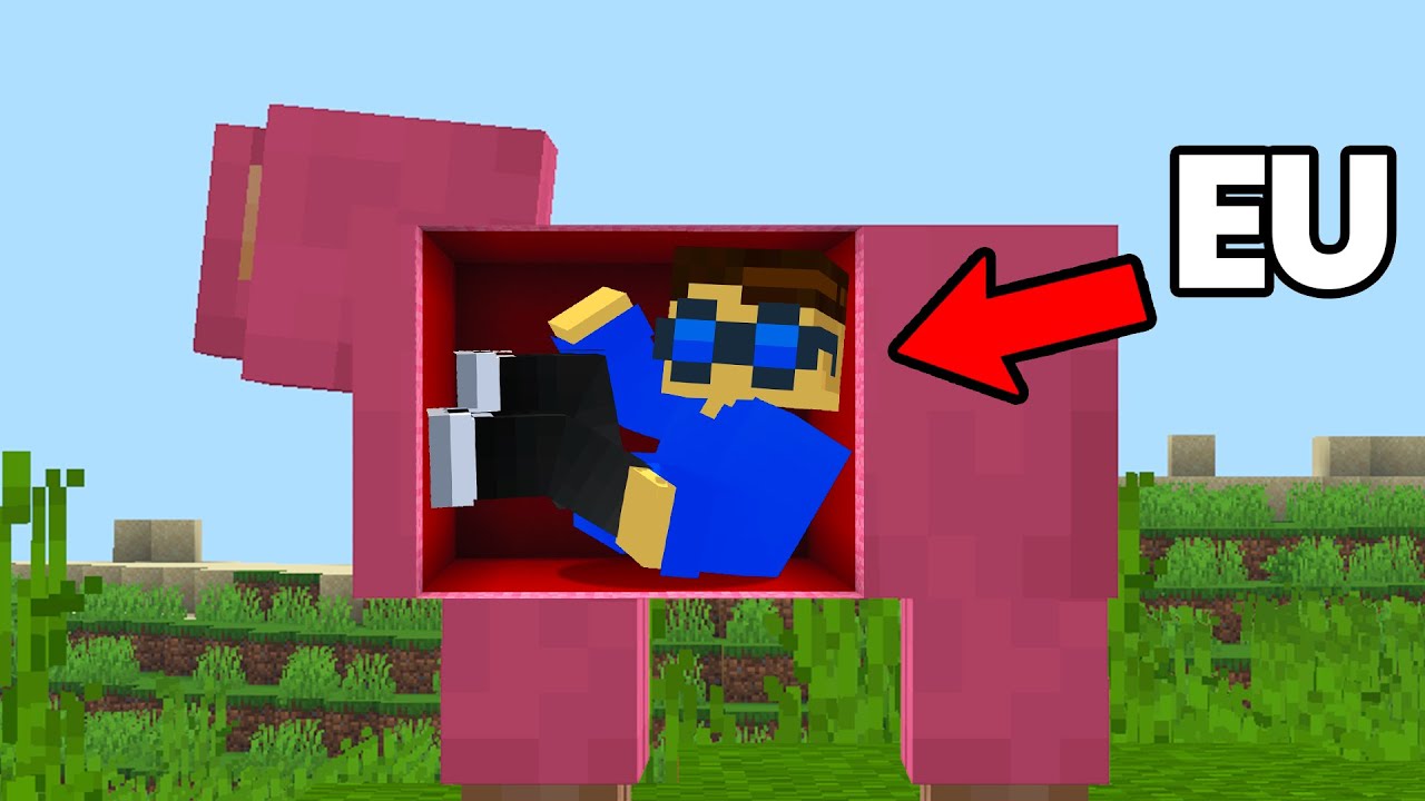 Minecraft mas, A CADA 30 SEGUNDOS eu CONTROLO um MOB ALEATORIO