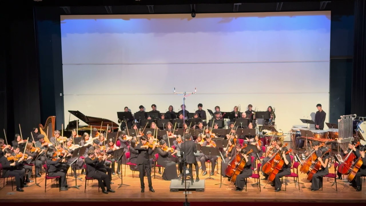Michael Oliveira - Tchaikovsky Violin Concerto in D Major, 1st mvt.