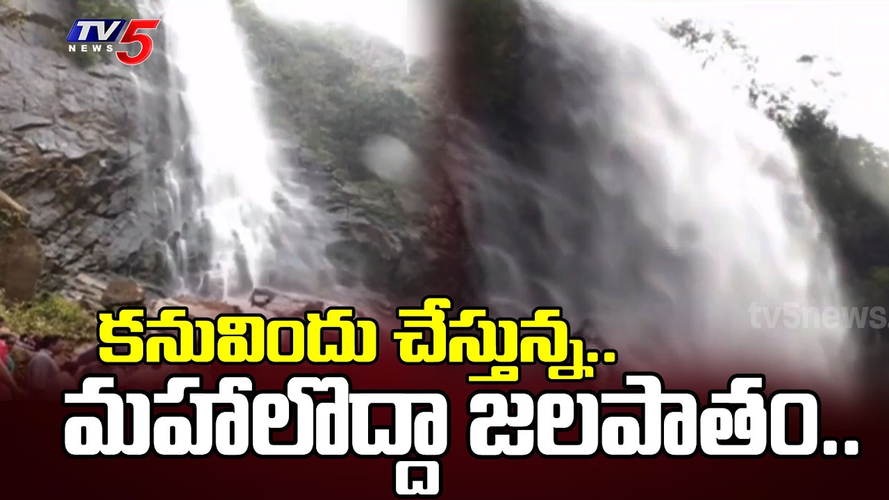 మహాలొద్దా జలపాతం..TV5 Ground Report On mahalodda waterfall At parvathipuram manyam | TV5 News