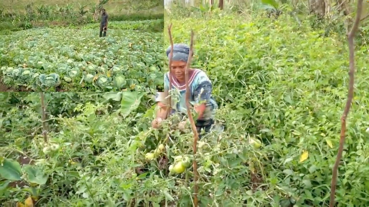 «J'appelle les jeunes chômeurs à se lancer dans l'agriculture»