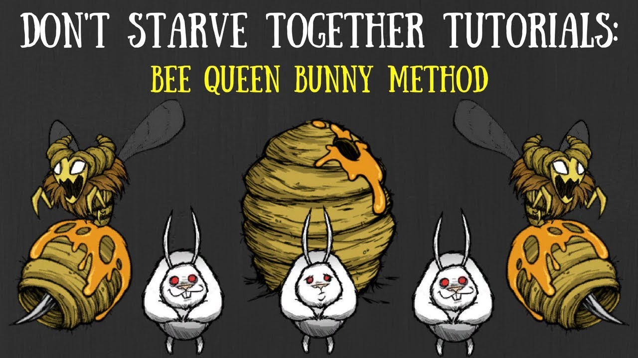 Руководство «Не голодайте вместе»: метод пчелиной королевы-крольчихи