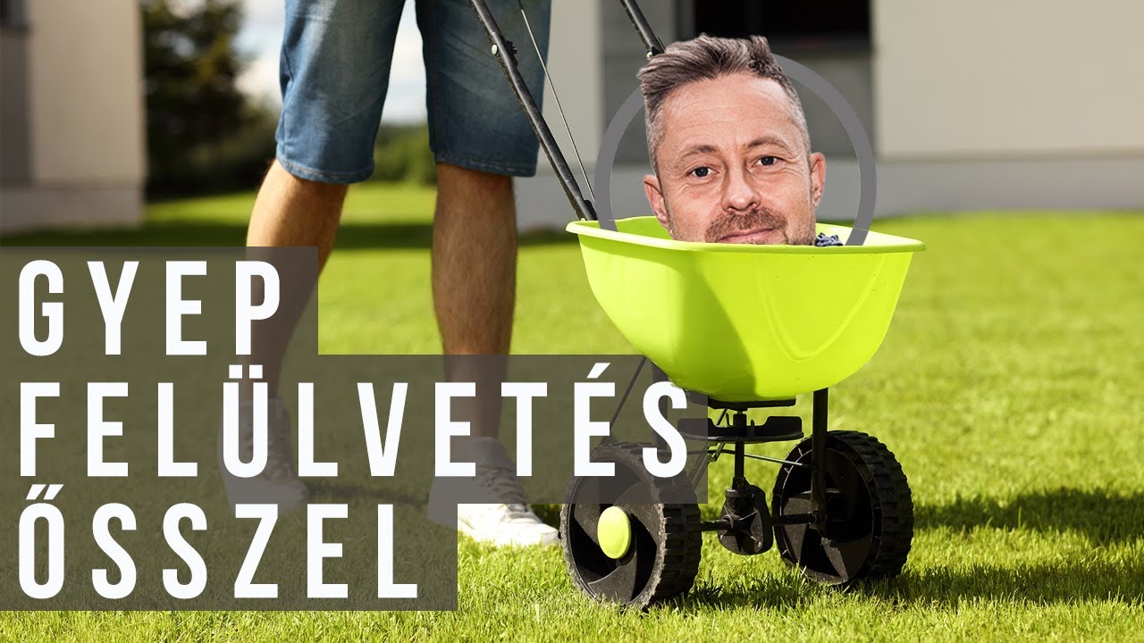 Késő őszi újrafüvesítés | kert TV