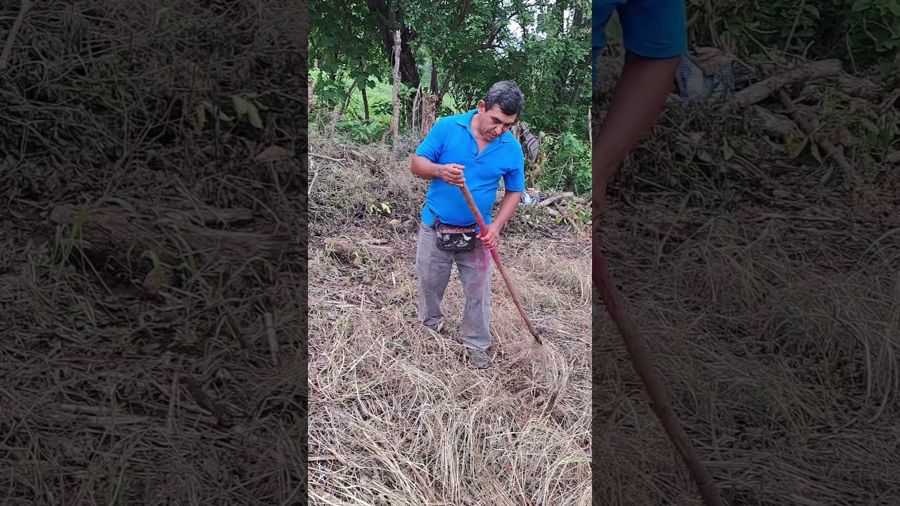 temporada de siembra,el salvador, aventuras y m&aacute;s f&uacute;tbol C.D.ESTRELLAS
