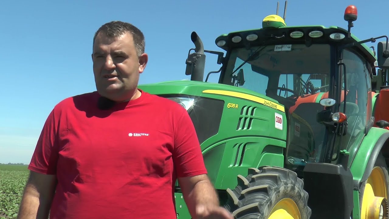 Viballa, efikasno rešenje za širokolisne korove u svim hibridima suncokreta
