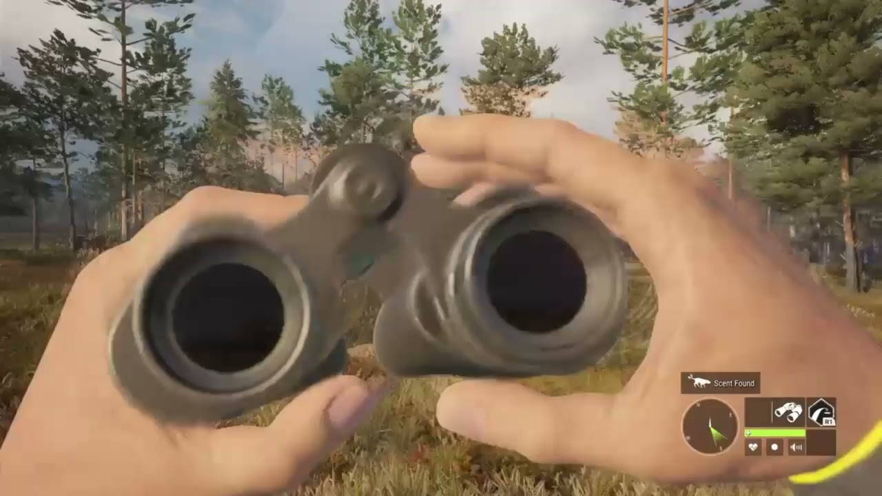 subscriber lead us to another DIAMOND