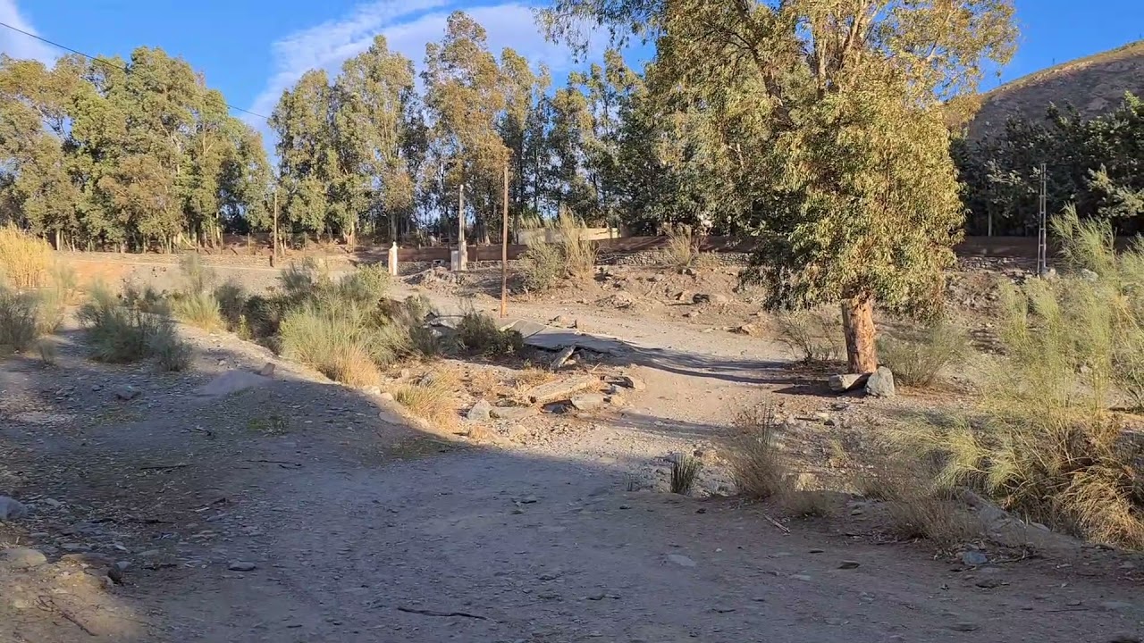 Ruta de los Olivos Centenarios en Orgiva, Alpujarra. Granada