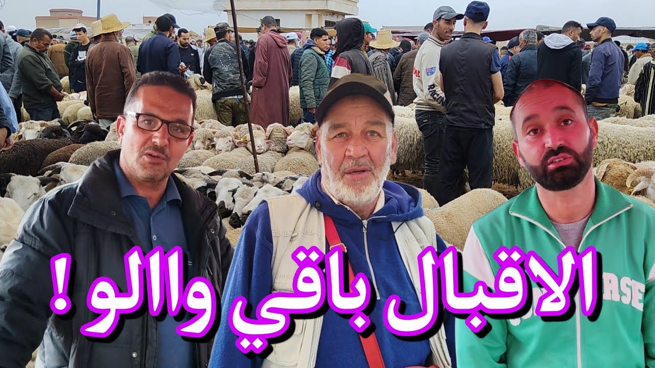 من #الناظور .. و من اكبر اسواق المواشي فـ #الريف  سوق #بني_وكيل ، باقي الاقبال ضعيف !!