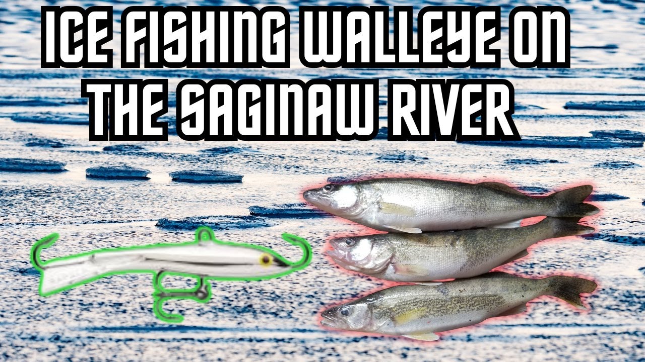 Ice Fishing Walleye On The Saginaw River PT2
