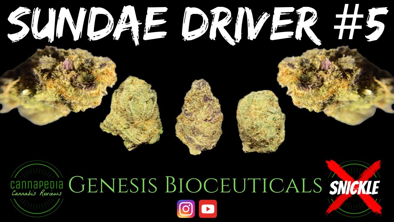 Sundae Driver #5 Strain Review - Genesis Bioceuticals - Cannapedia