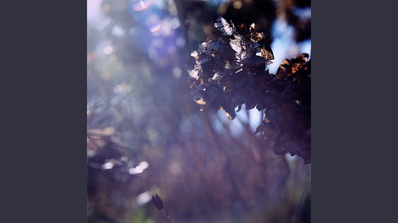 Landscape Dissolves