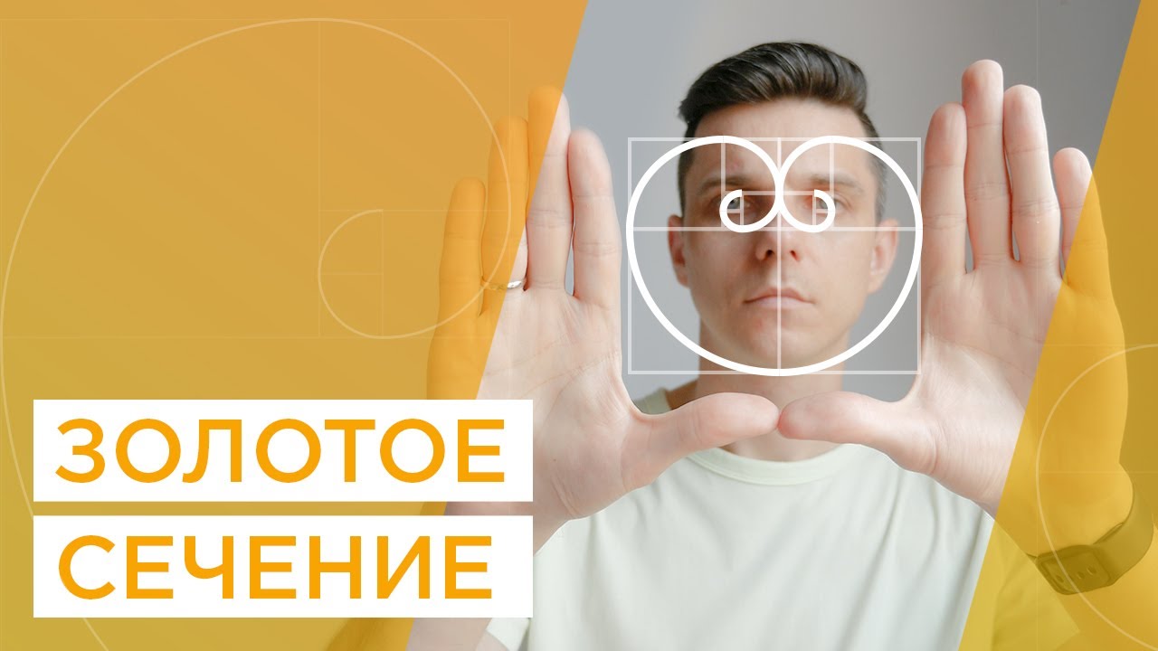 Что такое золотое сечение? Как использовать золотую спираль в дизайне логотипа? Числа Фибоначчи