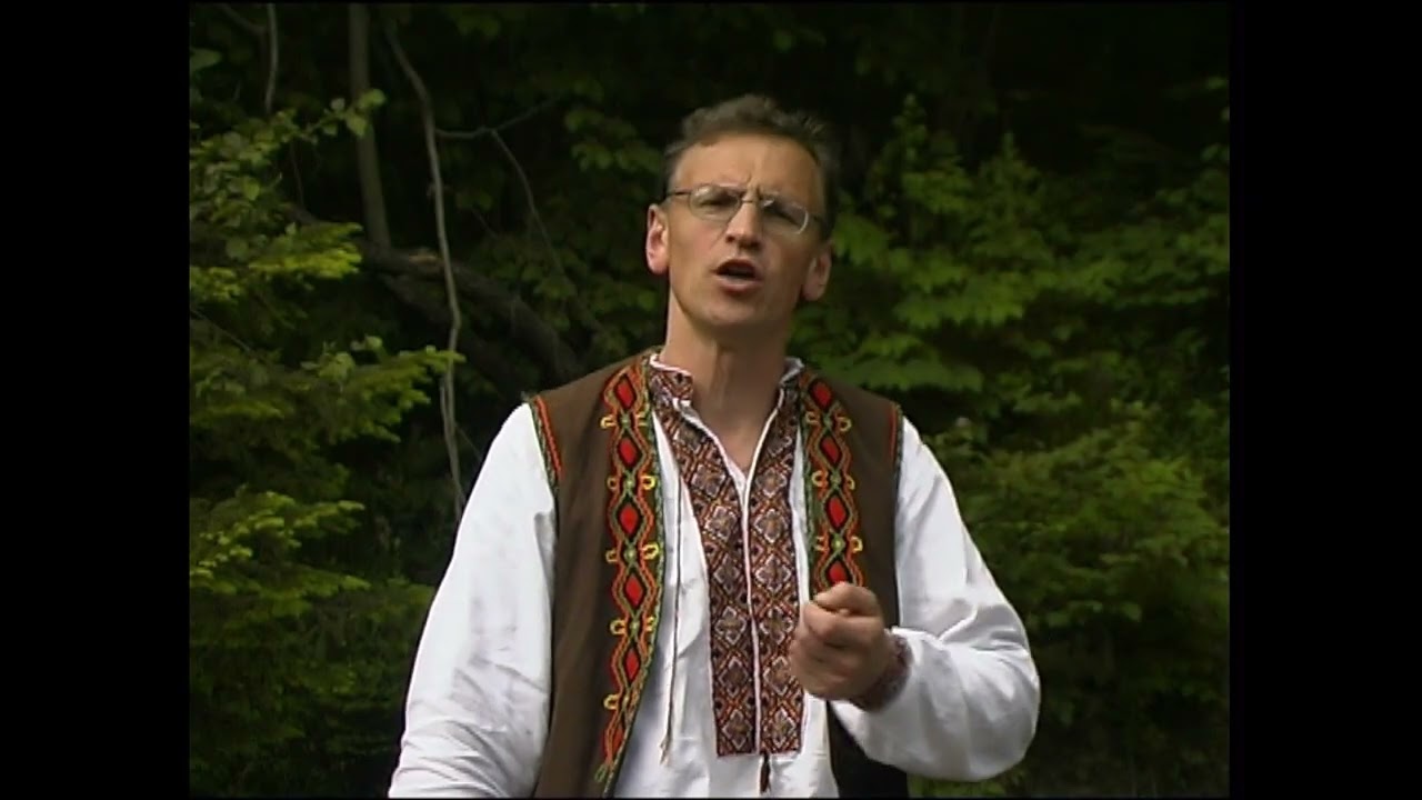 Wołki Moje Wołki 