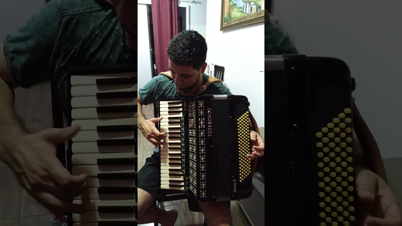 O Graxaim - Os Cobras do Teclado