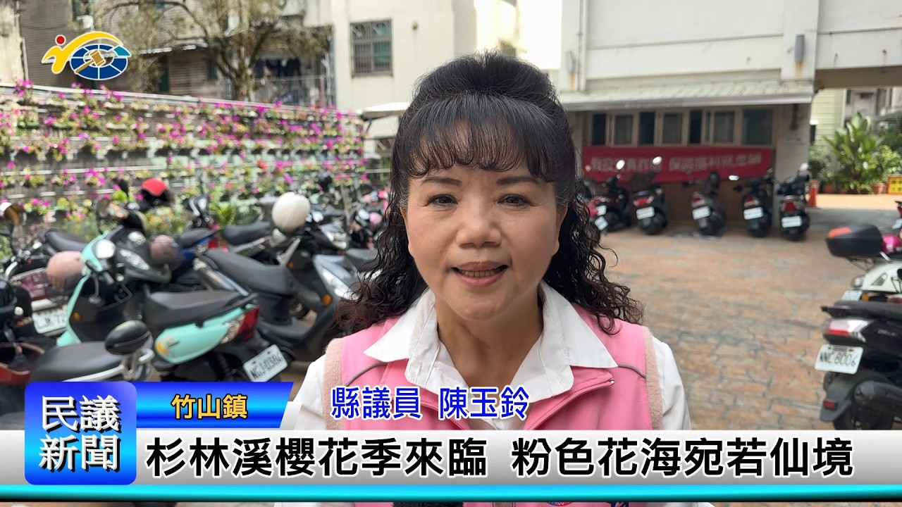 1150226 南投縣議會 民議新聞 杉林溪櫻花季來臨 粉色花海宛若仙境 (縣議員 陳玉鈴)