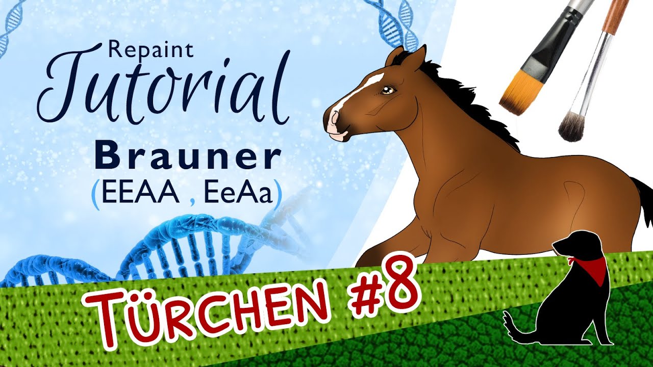 BRAUNER REPAINT TUTORIAL (EEAA, EeAa) mit Pastell - Pferdegenetik-Repaint-Kurs - Teil 4