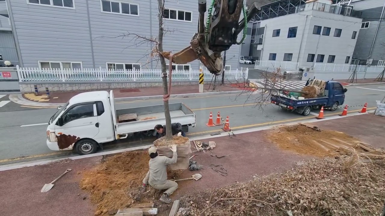 스틸위스트 X20  가로수 작업